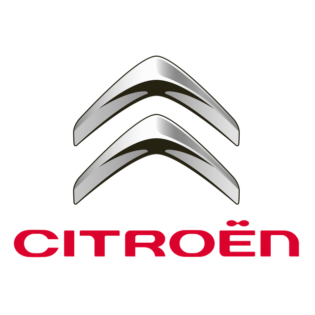 Citroen Sahipleri
