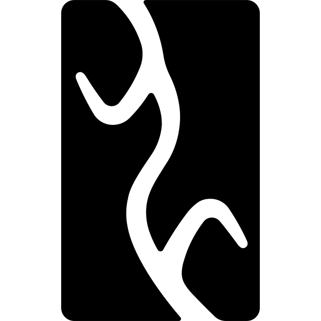 Yangwang Sahipleri