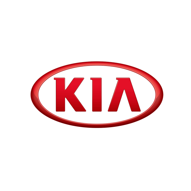 Kia Sahipleri