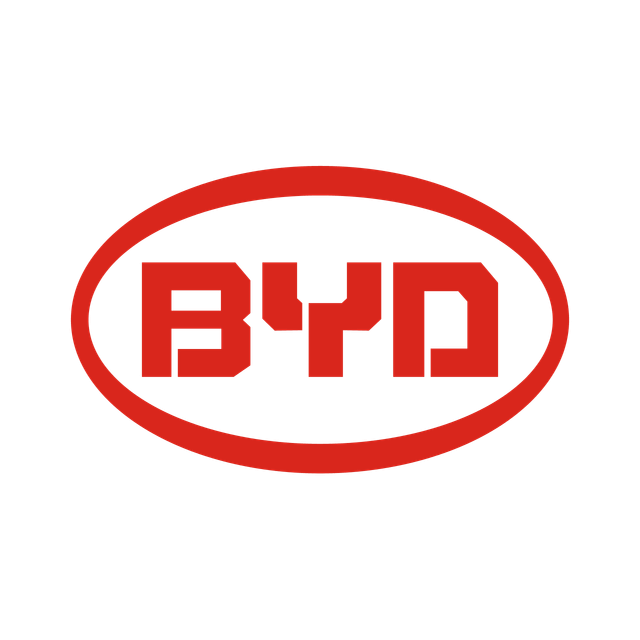 BYD Sahipleri