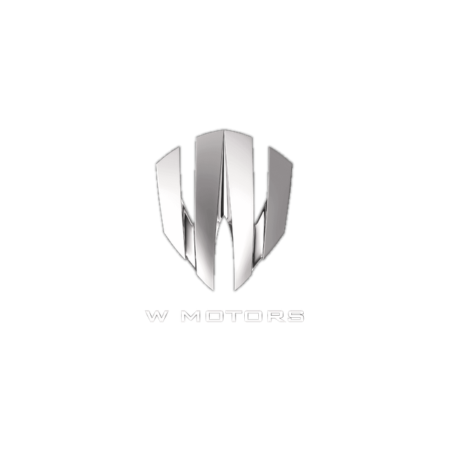 W Motors Sahipleri