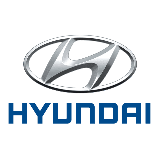 Hyundai Sahipleri